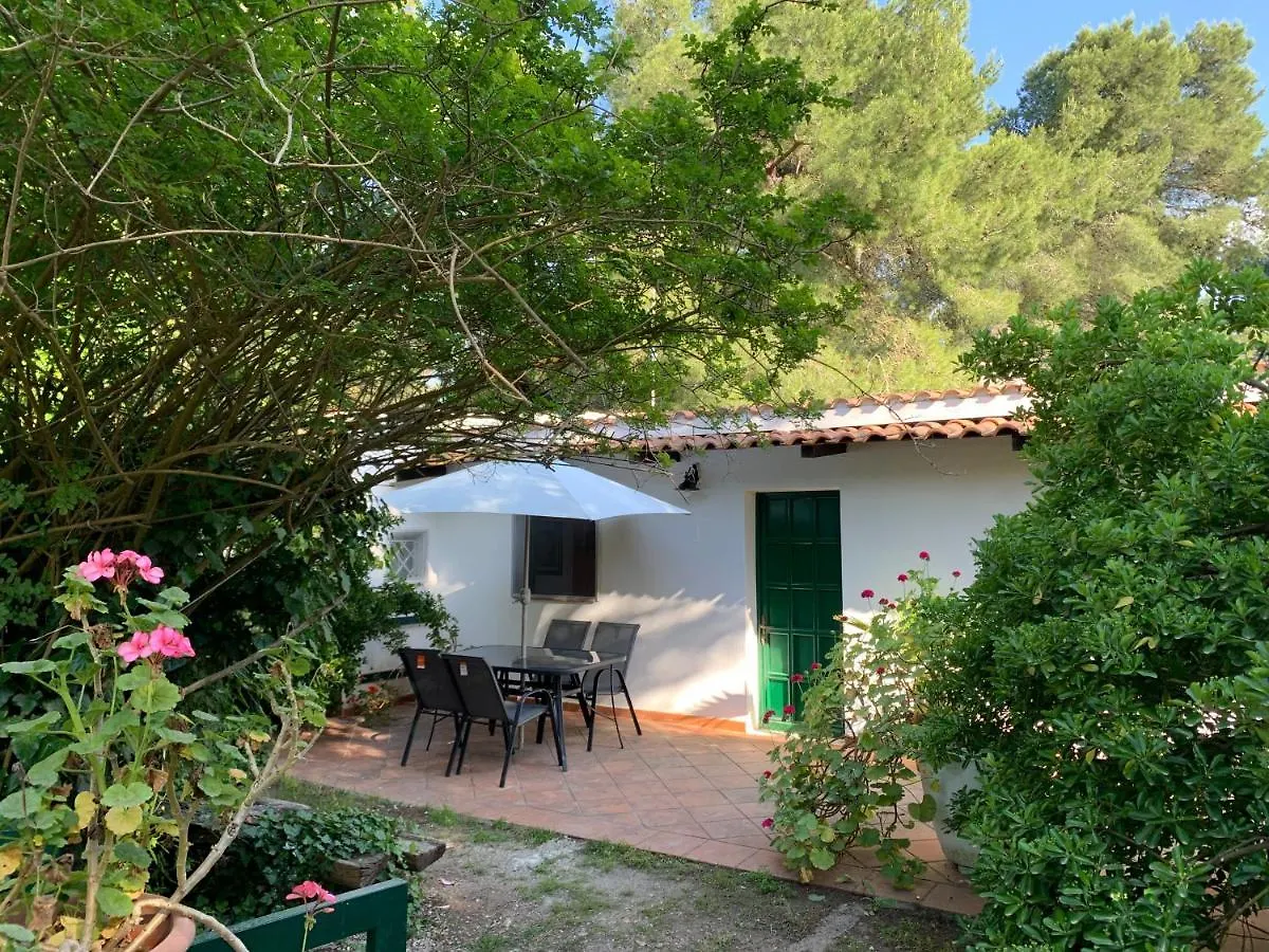לצ'ה Villa Giulia